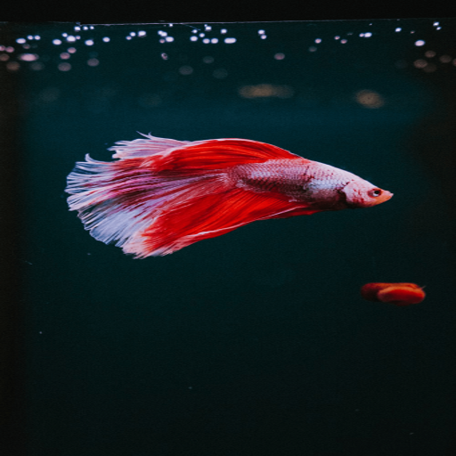 Save the Fish logo