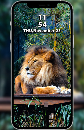 Tiger & Lion Wallpaper Screenshot 3 - AppWisp.com