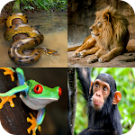 Cover Image of Download Animal Quiz: Guess the Animal 1.0.1 APK