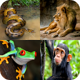 Animal Quiz: Guess the Animal icon
