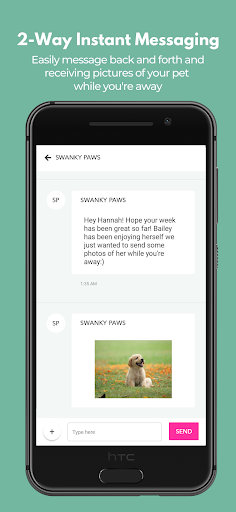Screenshot of Swanky Paws