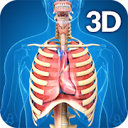 Top 30 Medical Apps Like Respiratory System Anatomy - Best Alternatives