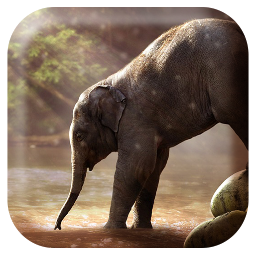 Elephant Sounds - Apps on Google Play