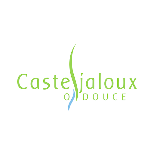 Ville de Casteljaloux logo