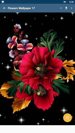 Flowers Wallpaper HD