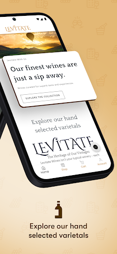 Levitate With Me Screen 2