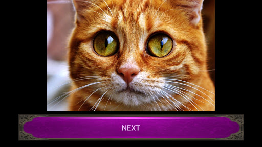 Android application Wlider Puzzle Adventure screenshort
