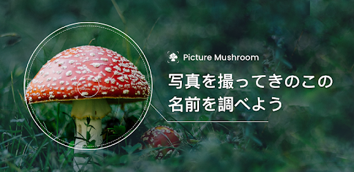 Picture Mushroom 1秒キノコ図鑑 Google Play のアプリ