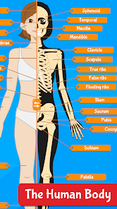 Human Anatomy Learning - Quiz  screenshots 1