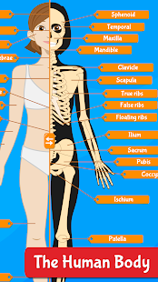 Anatomix - Human Anatomy 1.5.0 screenshots 1