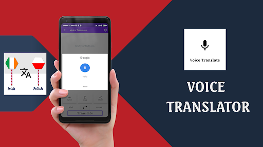 Irish To Polish Translator Screen 3
