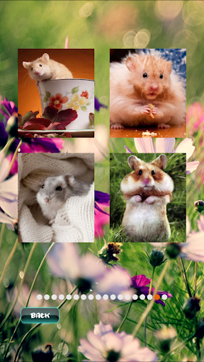 Hamster Pet Puzzles Screen 3