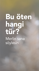 Ekran görüntüsü resmi