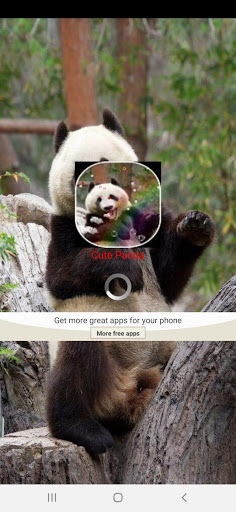 Cute Panda Live Wallpaper