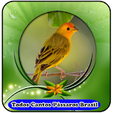 Todos Cantos Pássaros Brasil|mp3 100% Offline icon