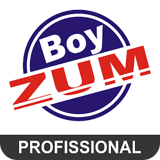 Boy Zum - Profissional