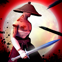 Ниндзя самурай бой с тенью