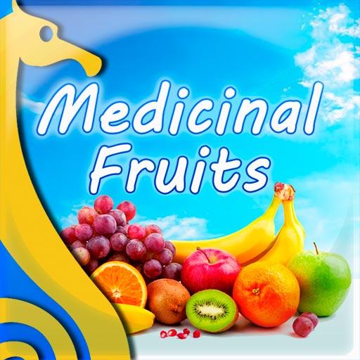 Medicinal Fruits  Icon