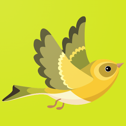 Flying Bird Games 3D