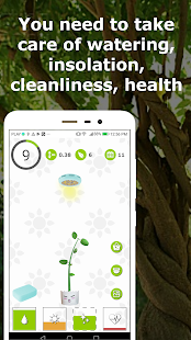 Lucky tree - plant your own tree 1.5.7 screenshots 1