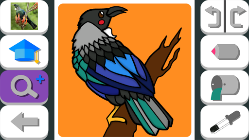 Birds of New Zealand Screen 3