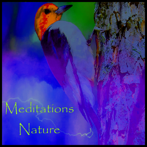 Meditations In Nature 5.0 Icon