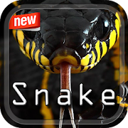Snake Photo Frame  Icon