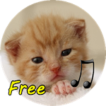 Cover Image of Tải xuống calling cat 2.0 APK