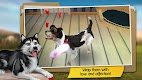 screenshot of Dog Hotel Premium