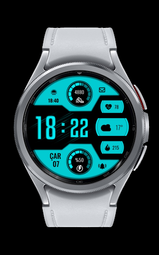 CNRwatch009 screenshot 14