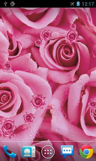 Rose Live Wallpaper Screen 2