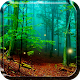 Forêt Fond d'écran Animé Télécharger sur Windows