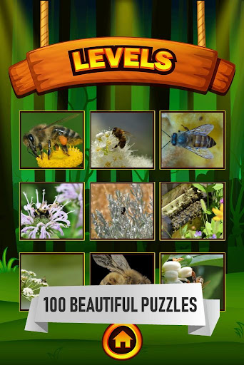 Bee Jigsaw Puzzle