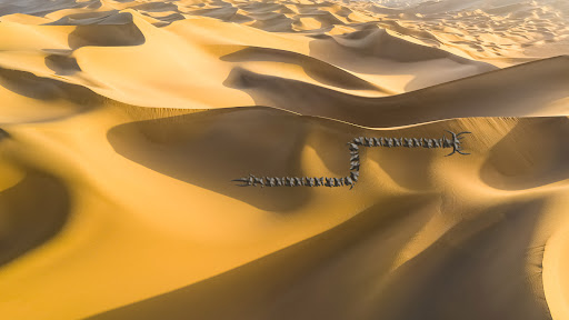 Shai-Hulud Screen 3