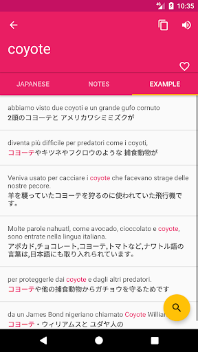 Italian Japanese Dictionary Screen 3