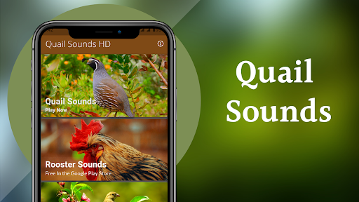 Quail Sounds & Calls Screen 2