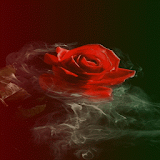 Smoky Red Rose LWP icon