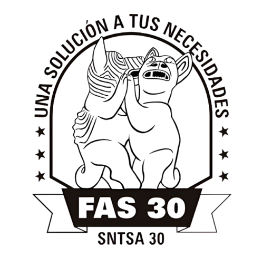 FAS 30