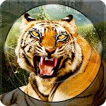 Cover Image of Download Forest Animal Hunting Games  APK