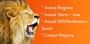 Animal Ringtone: Bird Ringtone - Latest version for Android - Download APK