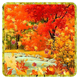 HD Autumn Live Wallpaper icon