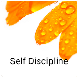 Self Discipline Affirmations icon