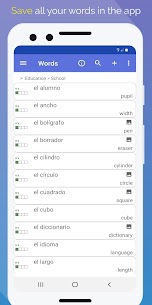 WordTheme Pro 1