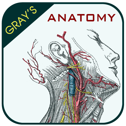 Gray's Anatomy - Anatomy Atlas 4.2 Icon