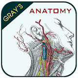Gray's Anatomy - Anatomy Atlas icon