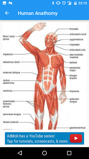 Human Anatomy Guide Screen 3