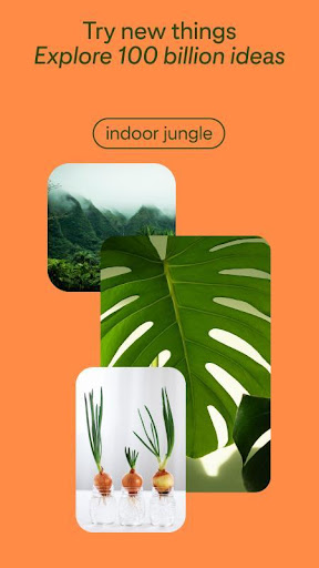 Image and video for Pinterest