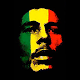 Bob Marley - Popular Songs Download on Windows