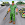 US Army Car Driver Crime Fight