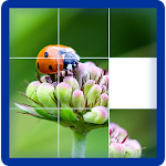 Cover Image of डाउनलोड Photo Puzzle Game  APK